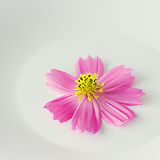 카지노꽁머니 카지노꽁머니