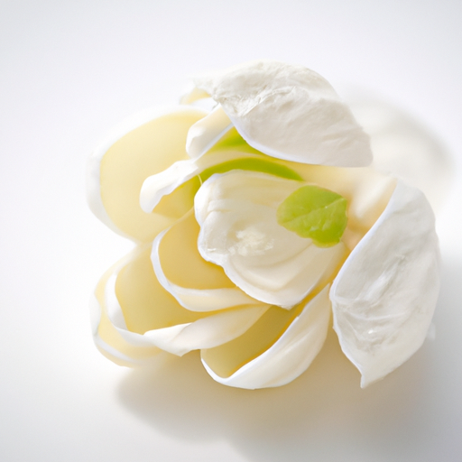 인기 꽁머니홍보 모아보기 인기 꽁머니홍보 모아보기